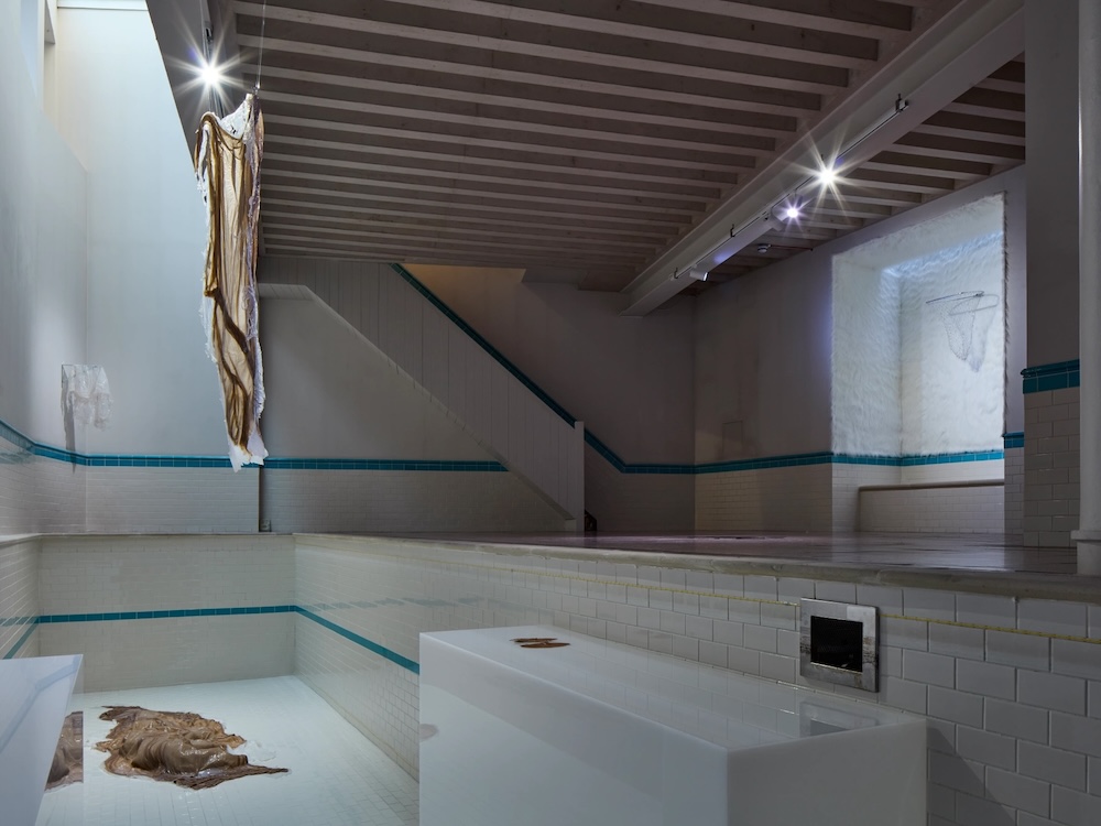 Weixin Quek Chong: moulting pangs (installation view)