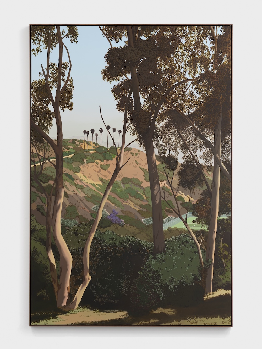 Vermont Canyon (2024)