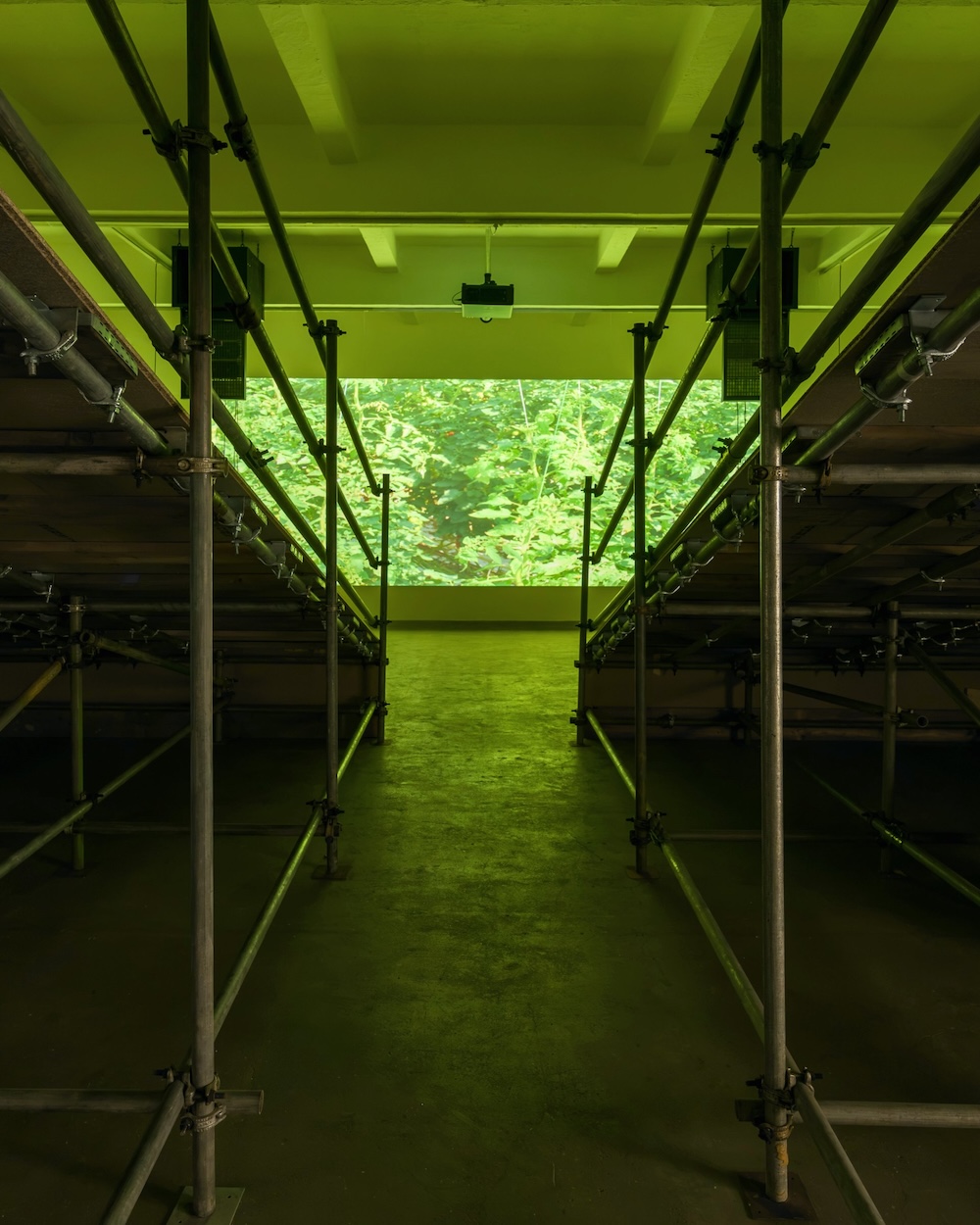Jasper Marsalis: Still Life (installation view)